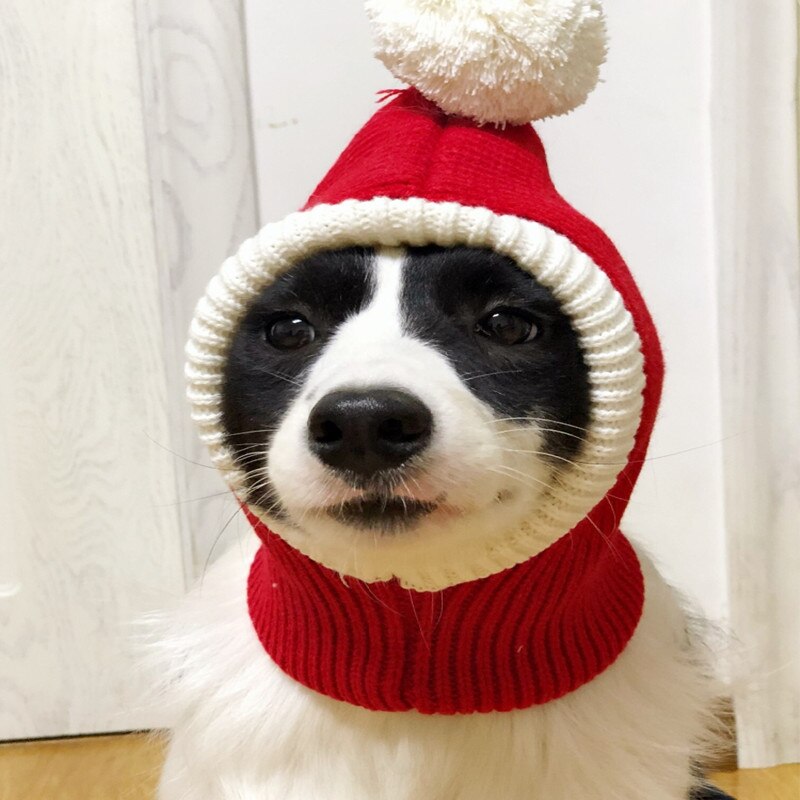 Gorro Papai Noel | Para cachorro e gato