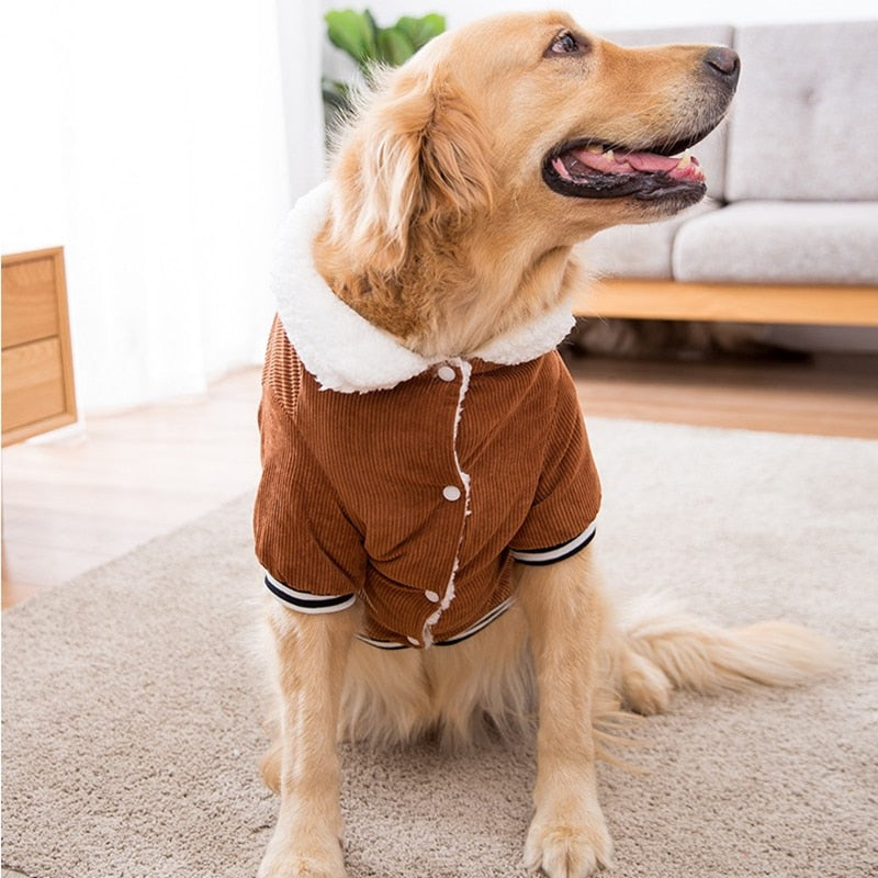 Jaqueta Pet Space | Para Cachorro