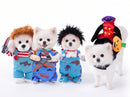 Kit 4 Fantasias Pet | Halloween