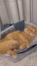 Cama Toca Iglu 2 em 1 Cubo para Gatos e Cães Pequenos – Pelúcia Premium Cinza Geométrico