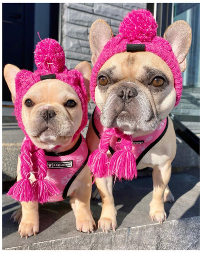 Gorro Pet | Para Cachorro e Gato