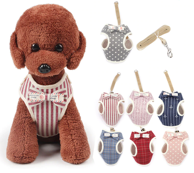 Peitoral Paris | Para Gato