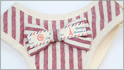 Peitoral Paris | Para Gato