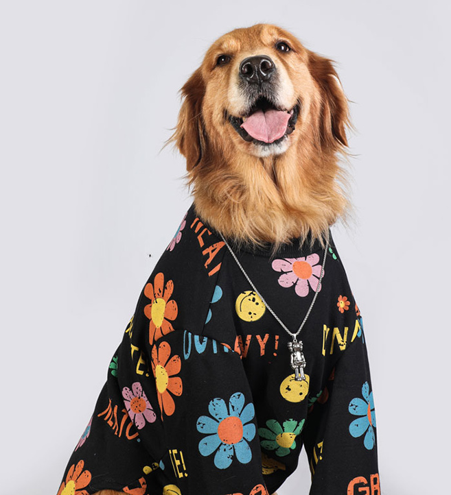 Moletom Pet Hippie | Para Cachorro Grande