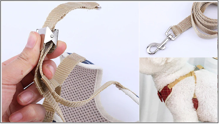 Peitoral Paris | Para Gato