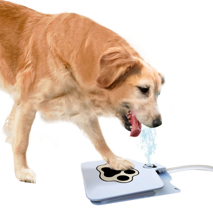 Fonte Divertida para Pets | Para Cachorro