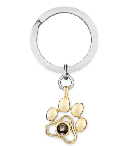 Personalizado Pet Photo Projeção Colar Cão Gato Pata Pingente Memória Joias Presente Dropshipping Personalizado Dia das Mães Presentes 2023