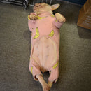 Macacão Bananinha | Para Cachorro