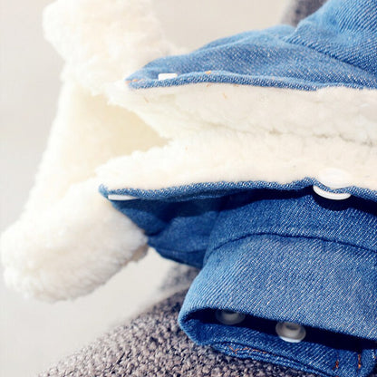 Jaquetinha Jeans | Para Cachorro