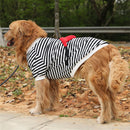 T-shirt Pet com Pochete | Para Cachorro