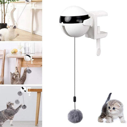 Eletric Ball | Para Gato