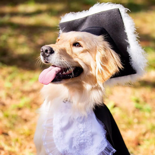 Ebook - Universidade Pet