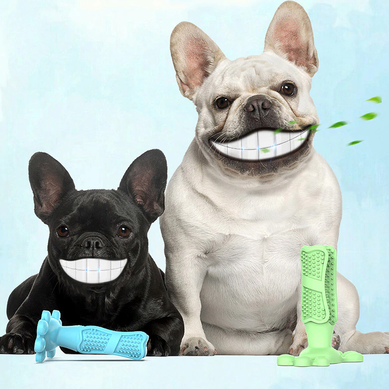 Escova de Dente Para Cães Cachorro