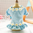 Vestido Pet Angel | Para Cachorro