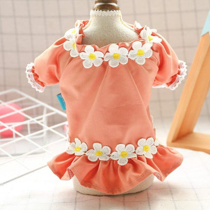 Vestido Pet Angel | Para Cachorro