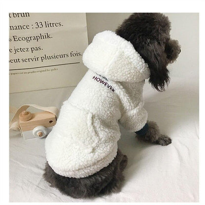 Moletom Teddy Trend | Para Cachorro