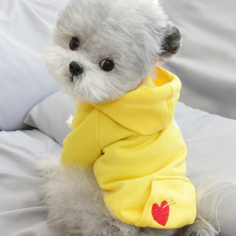 Moletom Pet Pantone | Para Cachorro e Gato