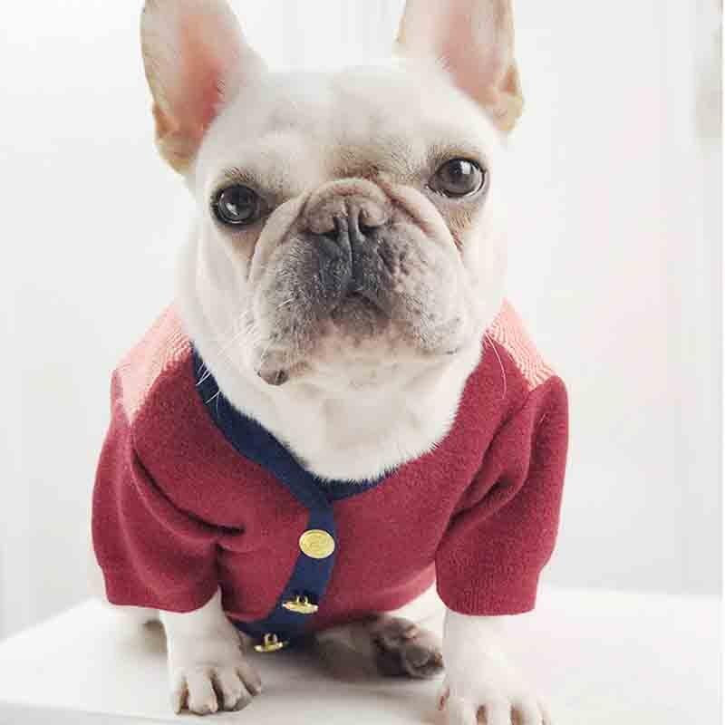 Suéter Retrô Luxo | Para Cachorro