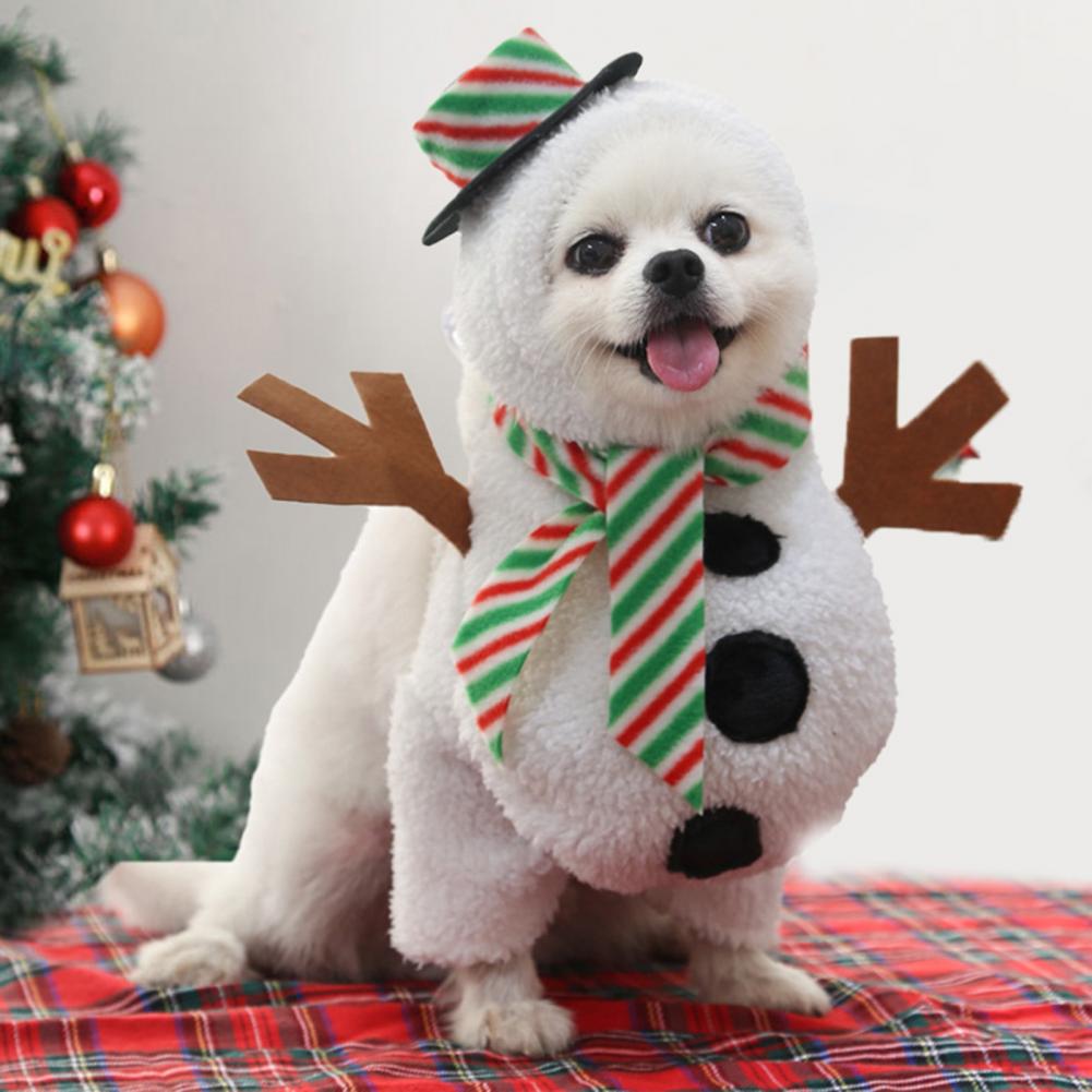 Fantasia Boneco de Neve | Para Cachorro