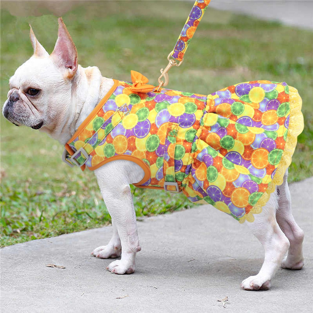 Vestidinho Bianca | Para Cachorro e Gato