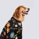 Moletom Pet Hippie | Para Cachorro Grande