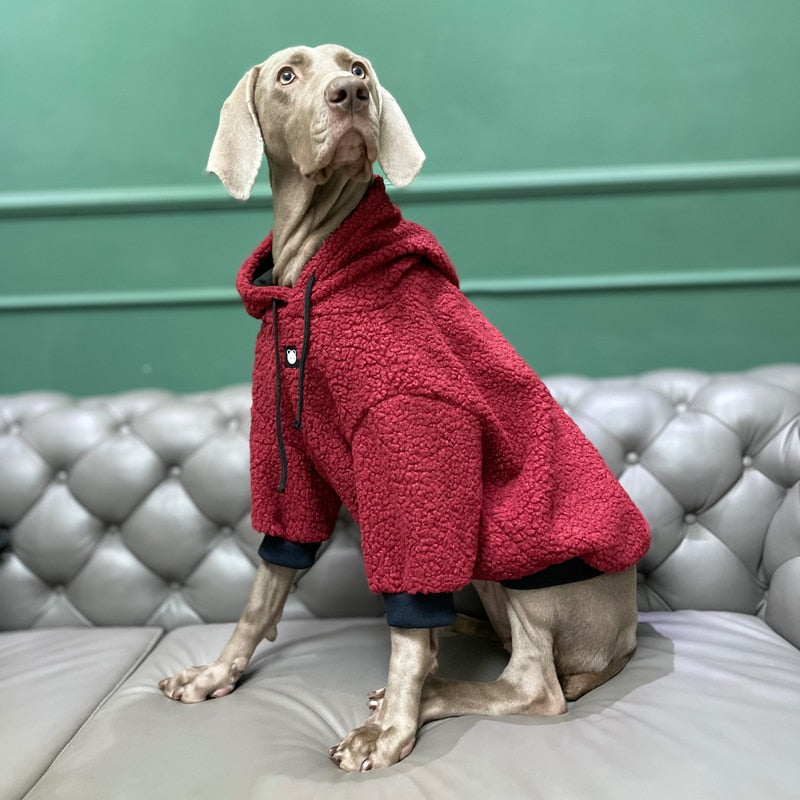 Moletom Pet Teddy | Para Cachorro Grande