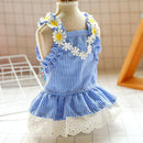 Vestido Pet Angel | Para Cachorro