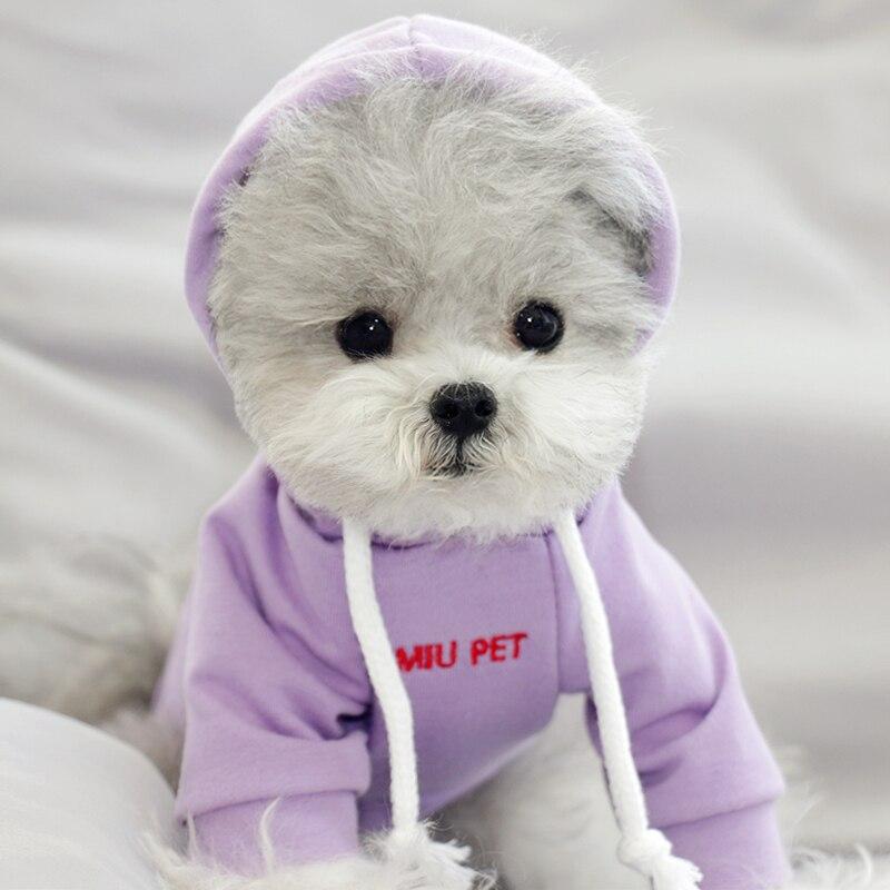 Moletom Pet Pantone | Para Cachorro e Gato