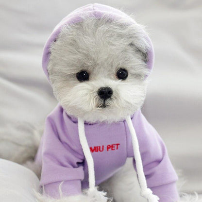 Moletom Pet Pantone | Para Cachorro e Gato