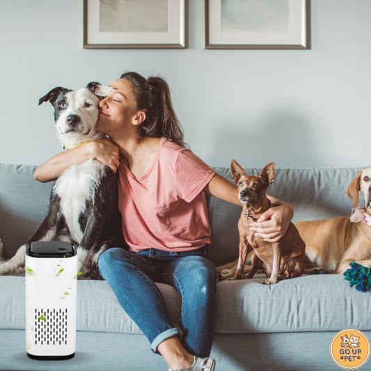 Purificador de Ar Pet | Para Cachorro e Gato