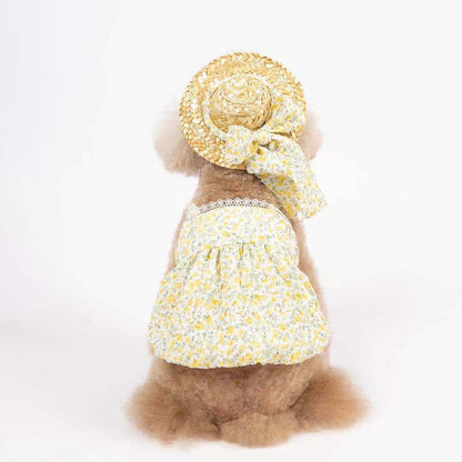 Look Summer Pet com Chapéu | Para Cachorro e Gato