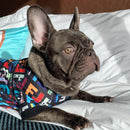 Moletom Pet Fancy | Para Cachorro