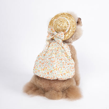 Look Summer Pet com Chapéu | Para Cachorro e Gato