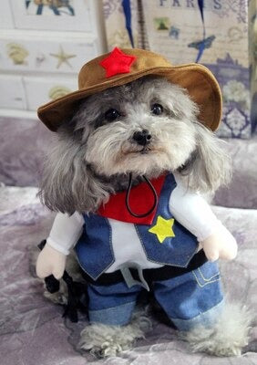 Fantasia Pet Cowboy | Para Cachorro e Gato