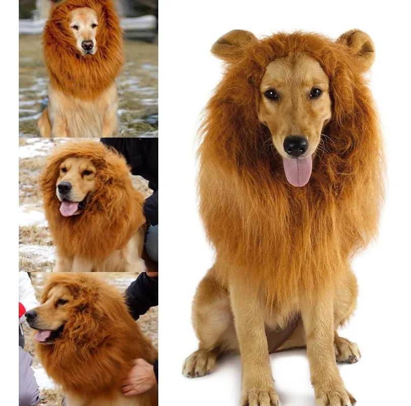 Fantasia Leãozinho | Para Cachorro