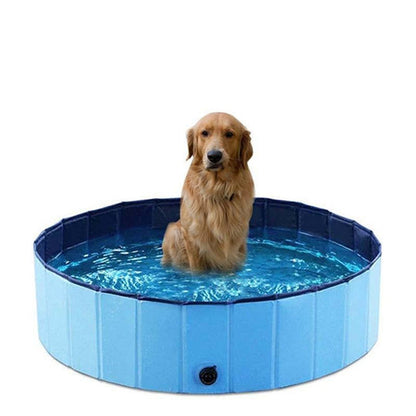 Piscina Portátil | Para Cachorro