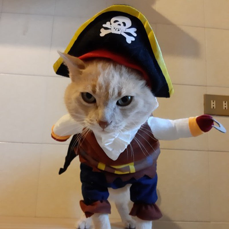 Fantasia Pet Pirata | Para Cachorro e Gato