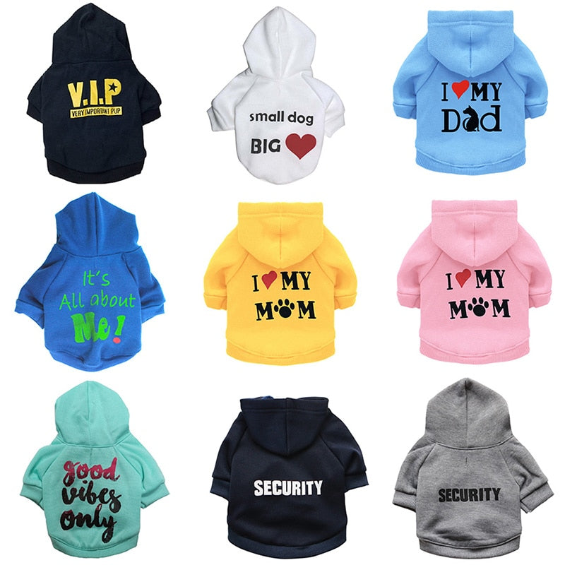 Moletom Divertido | Para Cachorro