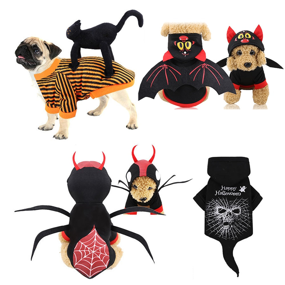 Moletom Halloween | Para Cachorro e Gato