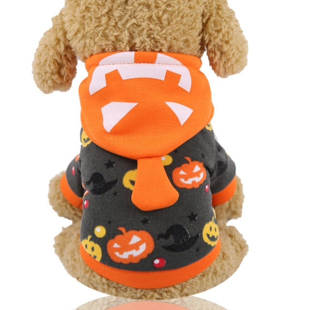 Moletom Halloween | Para Cachorro e Gato