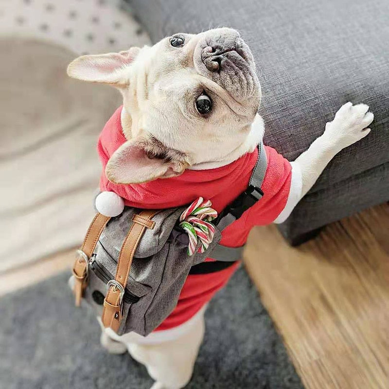 Mochila Pet Retrô | Para Cachorro