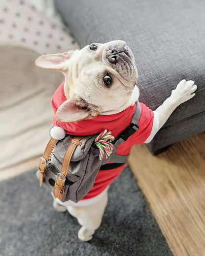 Mochila Pet Retrô | Para Cachorro