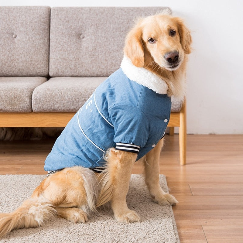 Jaqueta Pet Space | Para Cachorro